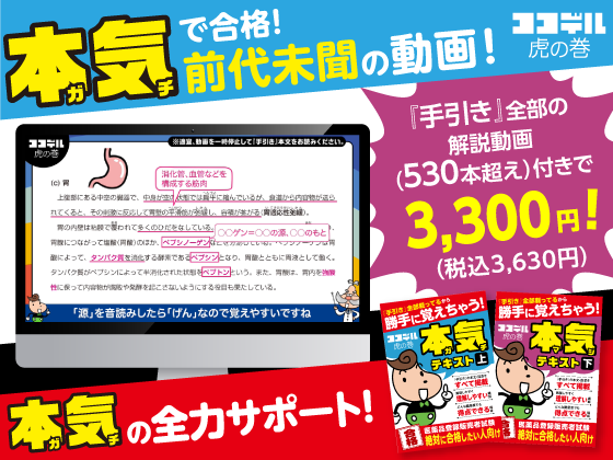 登録販売者 ココデル虎の巻